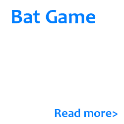 Bat Game