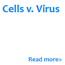 Cells v. Virus